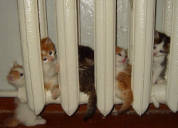 В Ставрополе продлят отопительный сезон