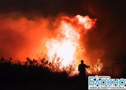 Урожай пшеницы сгорел на Ставрополье