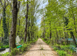 Мертвая зона: около 7 миллионов рублей потратят на содержание законсервированных кладбищ в Ставрополе