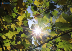 Потепление до +10 пообещали синоптики жителям Ставрополья