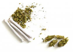 В Нефтекумском районе "накрыли" торговца марихуаной