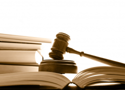 Житель Изобильного изнасиловал 89-летнюю тещу