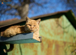Ставропольцы наконец получат солнечную и теплую погоду