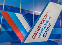 ОНФ предотвратил 600 сомнительных закупок
