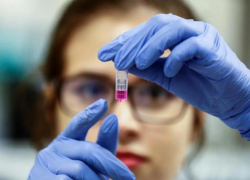 Краевое правительство: эпидситуация на Ставрополье стабильна