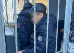 Организатора схемы по хищению 150 миллионов из колхоза осудили на 8,5 лет в Ставропольском крае 