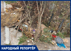 В Пятигорске масштабная свалка на кладбище возмутила горожан
