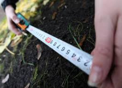 Результаты кадастровой оценки земель обеспокоили депутатов