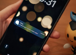 Опрос: 65% ставропольцев готовы сохранять верность любимому бренду