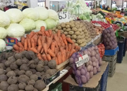 Огурцы вспомнили о совести, лук превратился в золото: обзор цен на продукты в Ставропольском крае на начало мая 