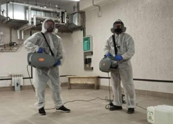 Профессиональные услуги по дезинфекции