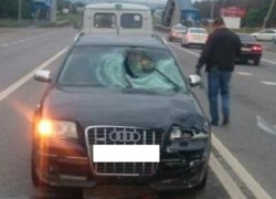 Пенсионер на черной "Ауди 6" сбил насмерть двоих пешеходов на Ставрополье