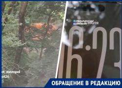 «Мусорят в 4 утра и не дают спать»: жители ставропольской многоэтажки воюют с «Эко-Сити»