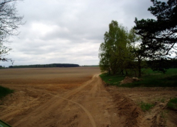 Житель Ставрополья вывез несовершеннолетнюю девушку за пределы города в багажнике авто за оскорблени