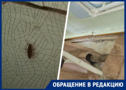 Кишащая тараканами и разваливающаяся больница на Ставрополье продолжает пугать пациентов 