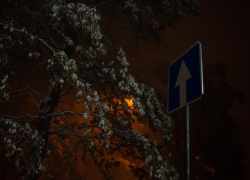 Въезд в леса перед началом осени продлили на Ставрополье 