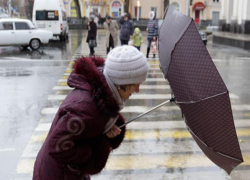 «Ветер, ты могуч»: разбираем последствия ставропольской непогоды 