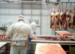 Крупный завод по переработке баранины за 3,2 миллиарда рублей построят на Ставрополье 
