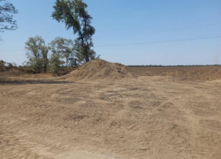 В Степновском округе неизвестные вырубили деревья на 26 миллионов рублей