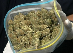 Солидную партию наркотиков изъяли полицейские на Ставрополье