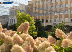 Жару до +32 градусов и день без осадков прогнозируют на Ставрополье 4 июня