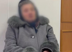 Вынесен приговор хозяйке загрызших насмерть девочку псов в Ставрополе