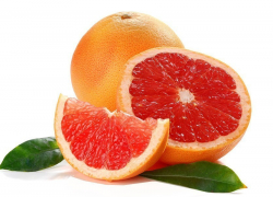 Партию санкционных цитрусовых уничтожили в Ставрополе