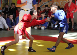 Ставропольские самбисты преуспели в Кстово