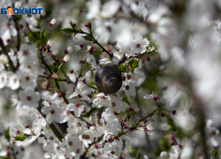 Туманное утро и до +25 градусов тепла пообещали ставропольцам 12 марта