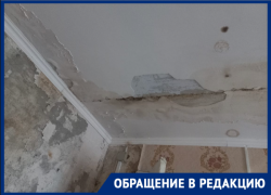 Дом «гниет заживо»: жители Георгиевска три года живут в сырости и плесени под бездействие Госжилинспекции 