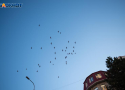 Из-за аномальной жары на Ставрополье ввели режим повышенной готовности 