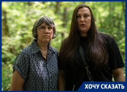 «Трое детей остались без отца»: в Ставрополе убийцу освободили из-под стражи