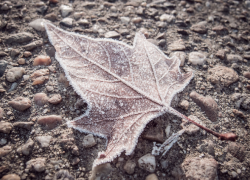 На Ставрополье в выходные дни ожидается ухудшение погоды и заморозки