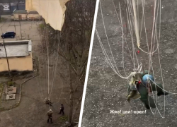 «Жив! Цел! Орел!»: кадры с упавшим на дерево парашютистом разлетелись по чатам Ессентуков