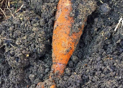 В Ставрополе нашли снаряд времен ВОВ