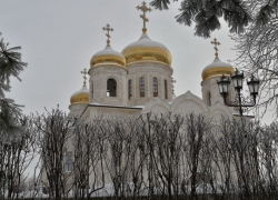 Ставропольский священник не считает «Левиафан» антицерковным фильмом