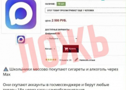 Продажа аккаунтов MAX ставропольским школьникам для покупки сигарет и алкоголя оказалась фейком