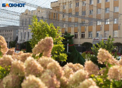 Солнечная суббота с 21-градусным теплом ожидается перед Пасхой в Ставрополе