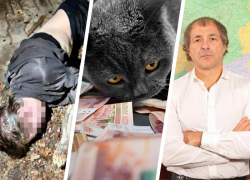 Богатые земляки и страшное убийство в Пятигорске: главные темы начала апреля на Ставрополье