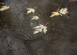 Ливни, грозы и жара: с какими контрастами погоды встретят ставропольцы первую неделю августа 