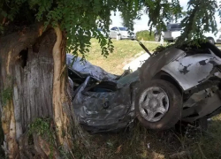 Таксист влетел в дерево из-за телефонного разговора