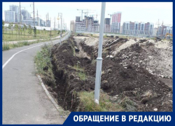 На выкапывание деревьев на проспекте Российском в Ставрополе пожаловались местные жители