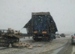 Куры рассыпались на трассе Ставрополья из-за неосторожности водителя грузовика
