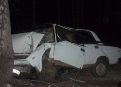 Водитель «семерки» врезался в дерево при обгоне на ночной трассе в Ставропольском крае, - пострадал он и его мать