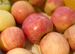 Ставропольские сады недосчитаются урожая яблок из-за заморозков