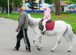 Аттракционы в городских парках проверят после инцидента со сбившей людей лошадью в Ставрополе 