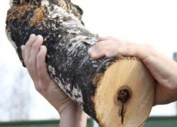 Озлобленный мужчина насмерть забил своего приятеля бревном на Ставрополье