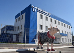 Семь лет развития: Казьминский молочный комбинат Невинномысска отмечает день рождения