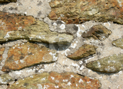 Огромный булыжник проломил голову 11-летнему велосипедисту из Пятигорска