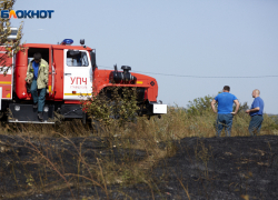 Тело ребенка обнаружили в пойме реки Кура на Ставрополье